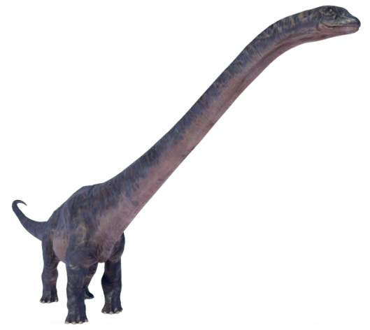 Dreadnoughtus