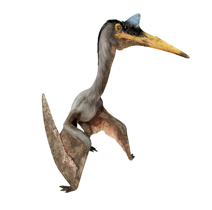 Quetzalcoatlus