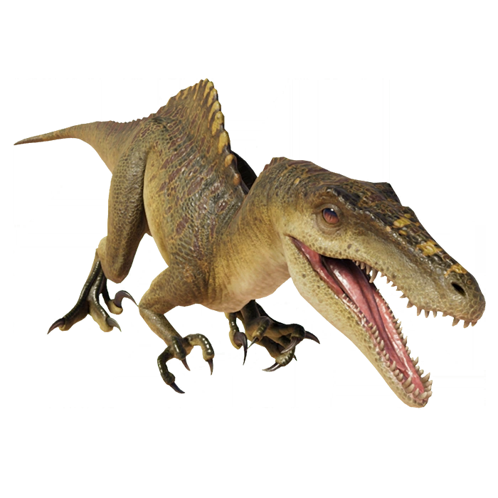 Spinoraptor